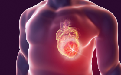 Control Cardiovascular